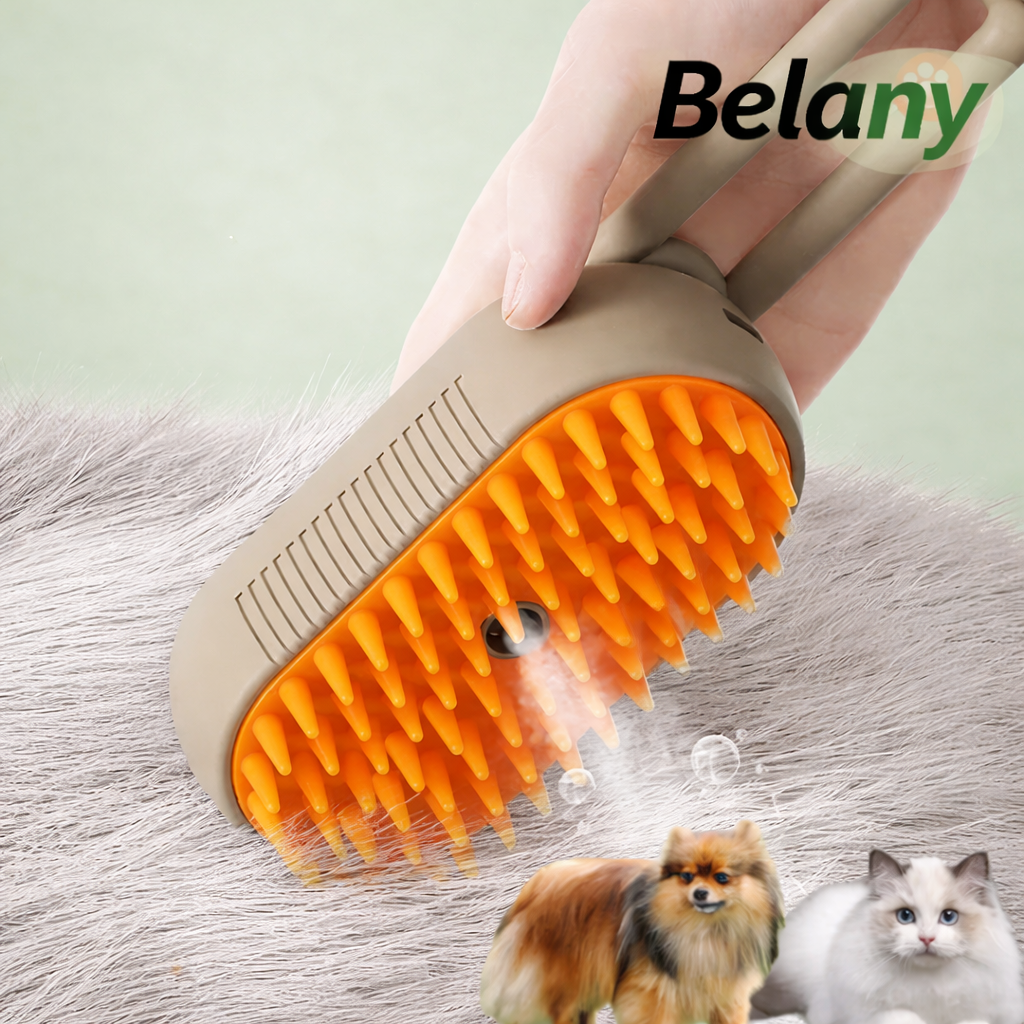 Brosse vapeur Belany
